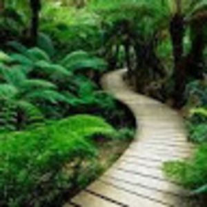 Meet your Posher, Miles